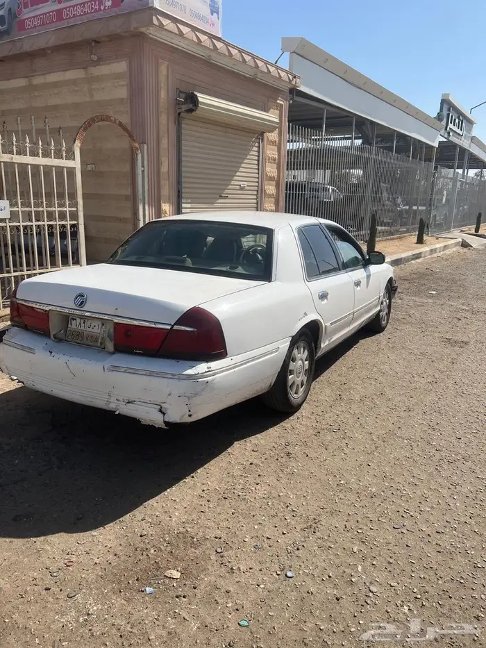 فرد مركيز98 4
