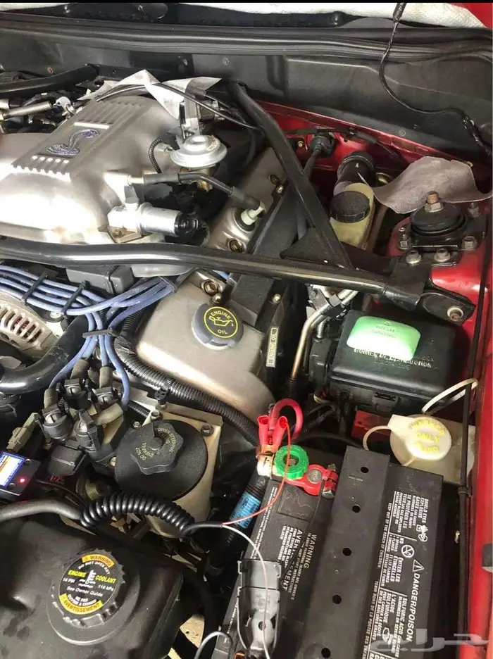 للبيع موستنق مخزن 1996 Ford mustang Cobra 11