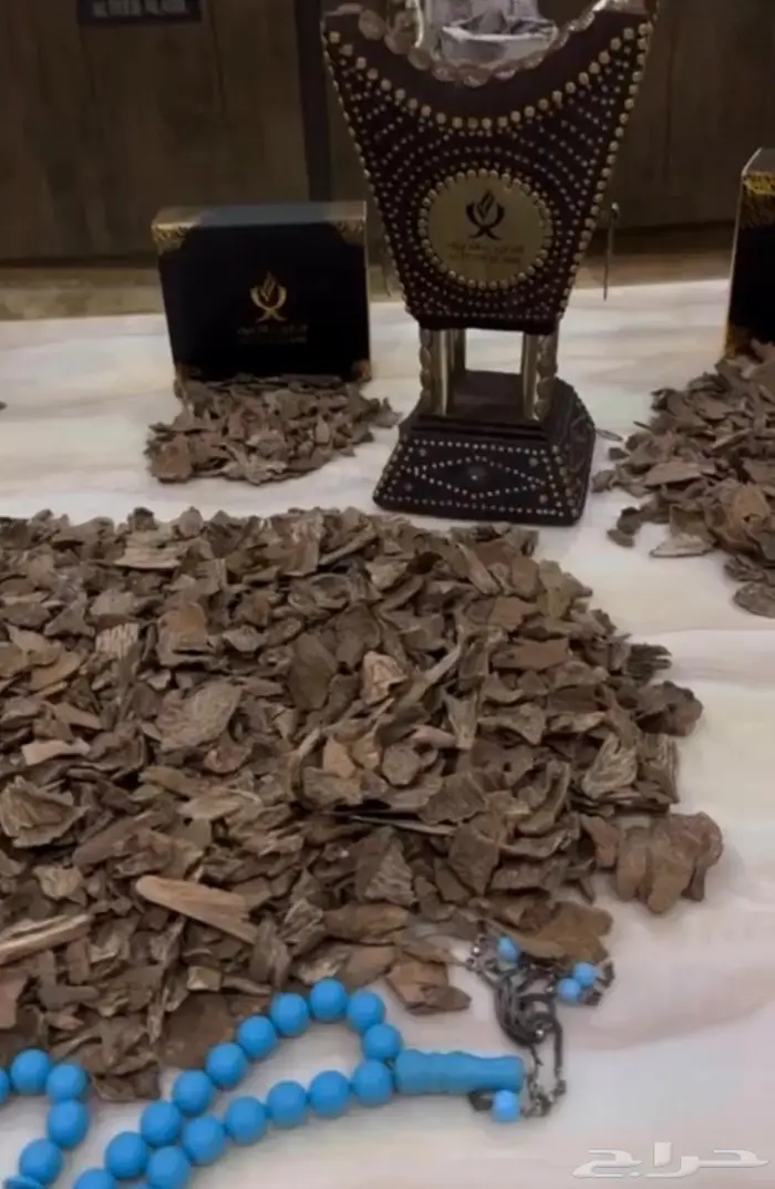 سيلاني ادمز سوبر مرتفع ودبل 2