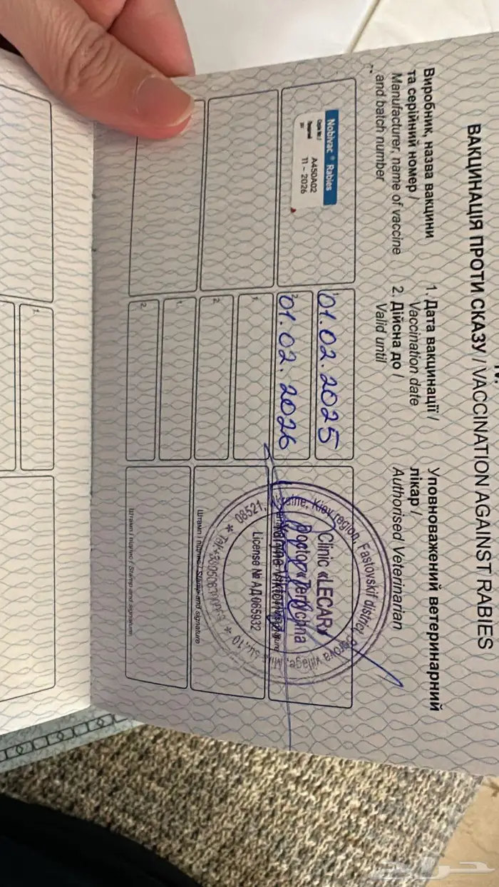 بومرينيان 1