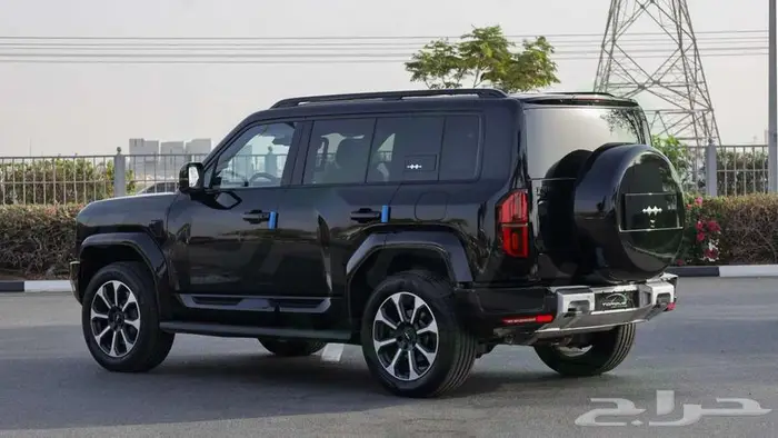 2025 بي واي دي ليوبارد 5 اصفار مع ضمان 4