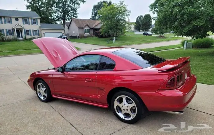 للبيع موستنق مخزن 1996 Ford mustang Cobra 5