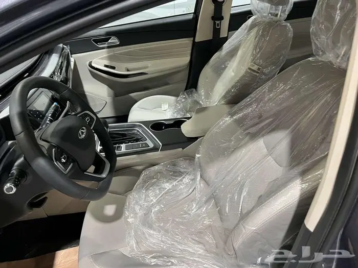 دونج فينج شاين E1 2026 7