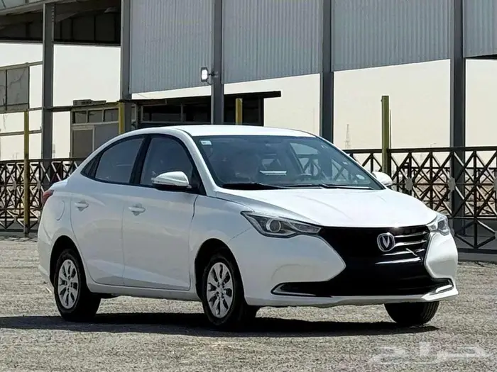 شانجان السفن 2022 5