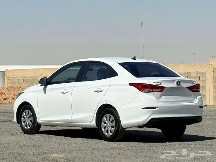 شانجان السفن 2022 3