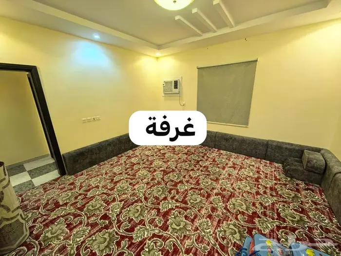 شقة مفروشة اربع عرف اي السامر 4