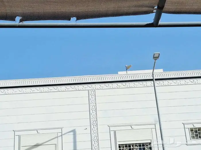 لياسه ملونه خرجيه بديل الحجر الطبيعي 9