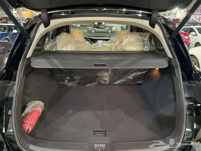 النوع انفنيتي 2021 - infiniti QX50 18