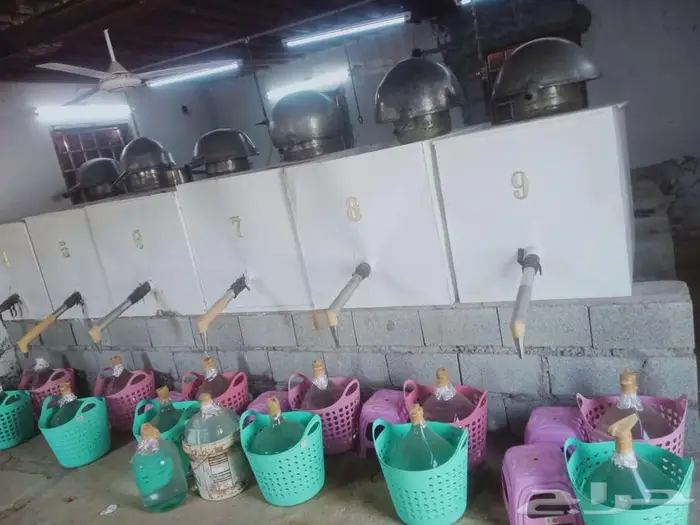 دهن ورد طائفي نخب أول 11