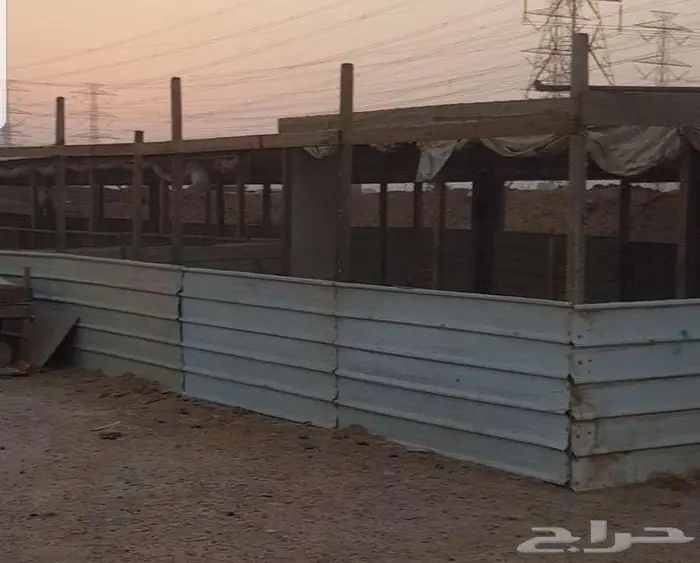 للبيع اغراض شبك حلال كامل 9