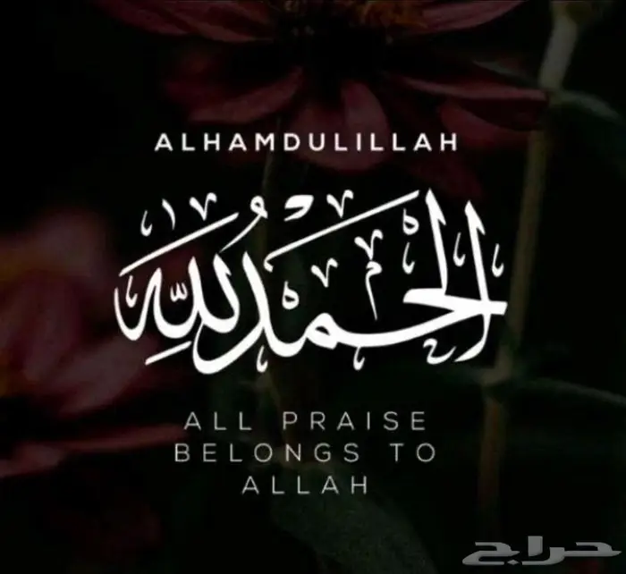 الحث عن عمل 0