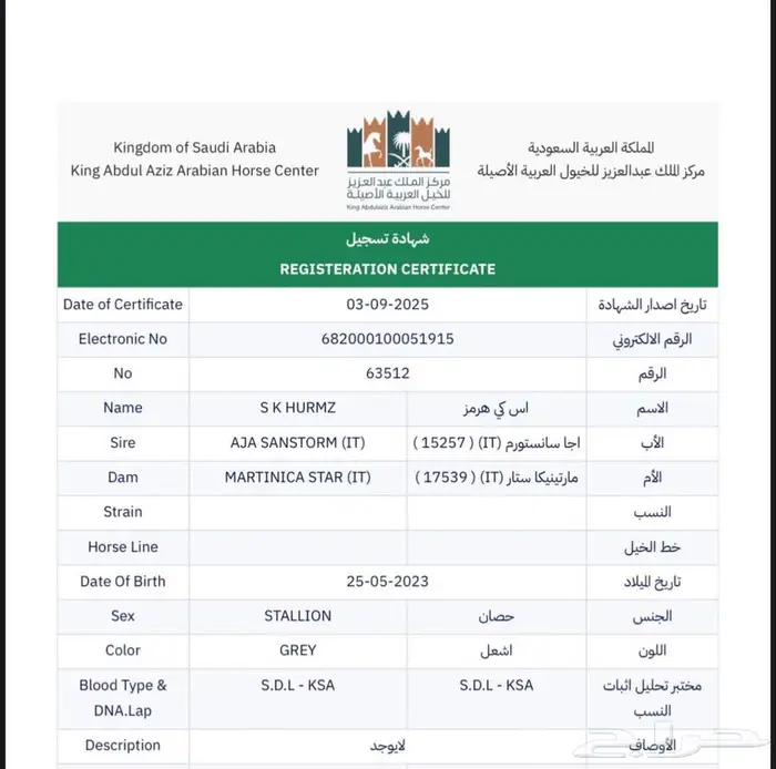 حصان واهو 1