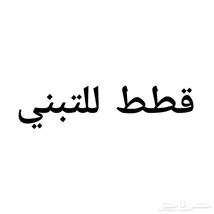 سمك فايتر سلاحف هامستر محل نوادر خميس مشيط 2