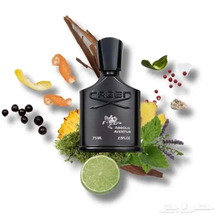 عطر كريد افينتوس ابسولو او دو بارفيوم 75مل أصلي 2