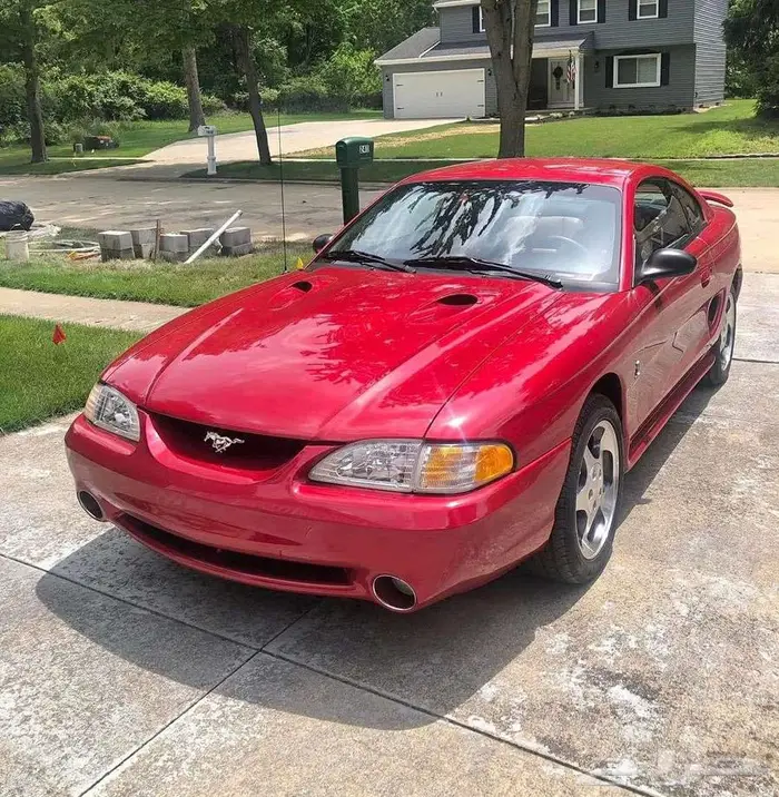 للبيع موستنق مخزن 1996 Ford mustang Cobra 7
