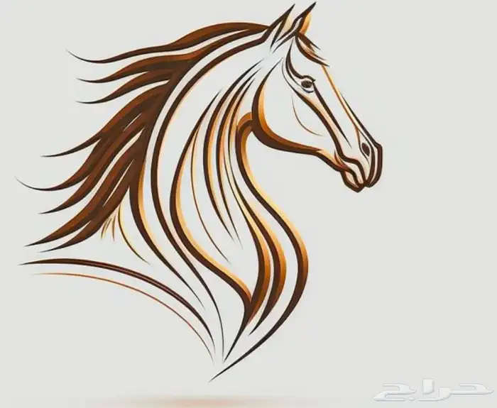 عسف خيل واعادة عسف 0