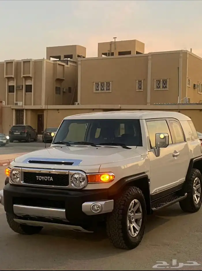 اف جي 2022 شرط وكالة 3