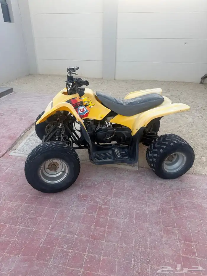 دباب تايوان مقاس 100 3