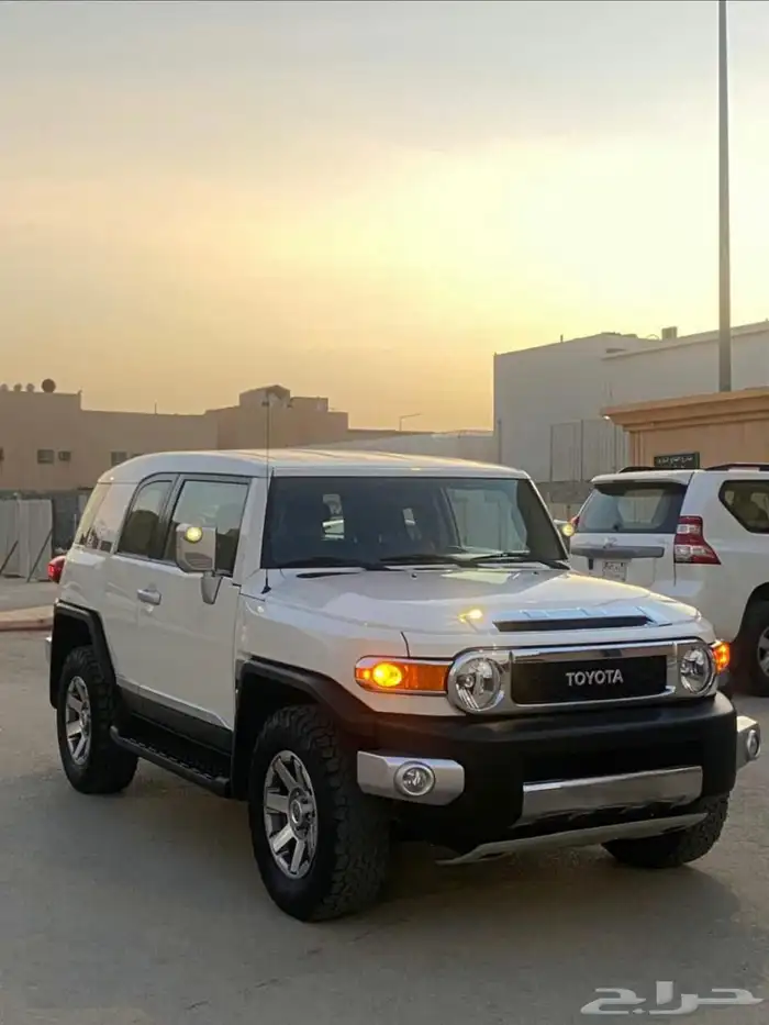 اف جي 2022 شرط وكالة 5