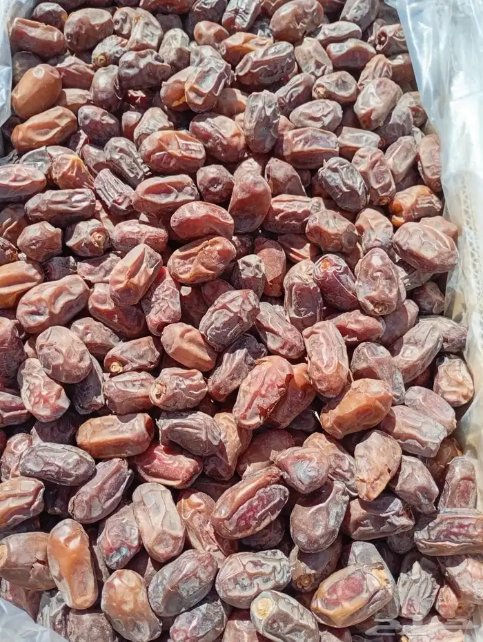 تمر اخلاص و خضري للبيع 1