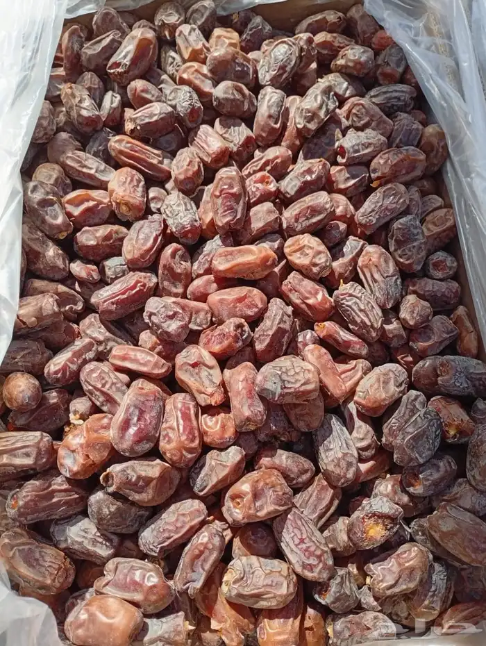 تمر اخلاص و خضري للبيع 0