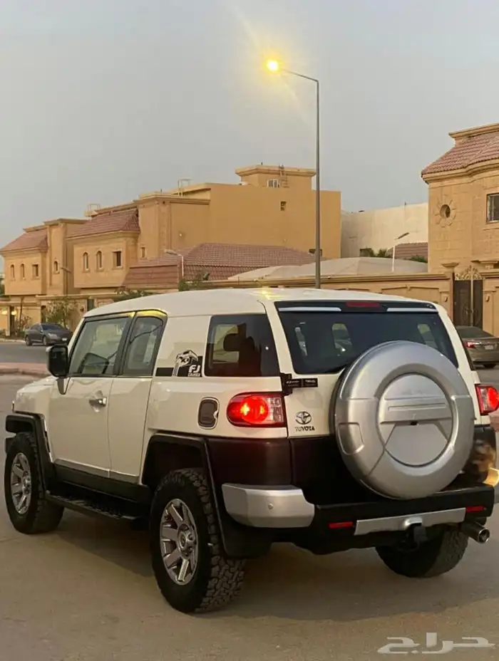 اف جي 2022 شرط وكالة 2