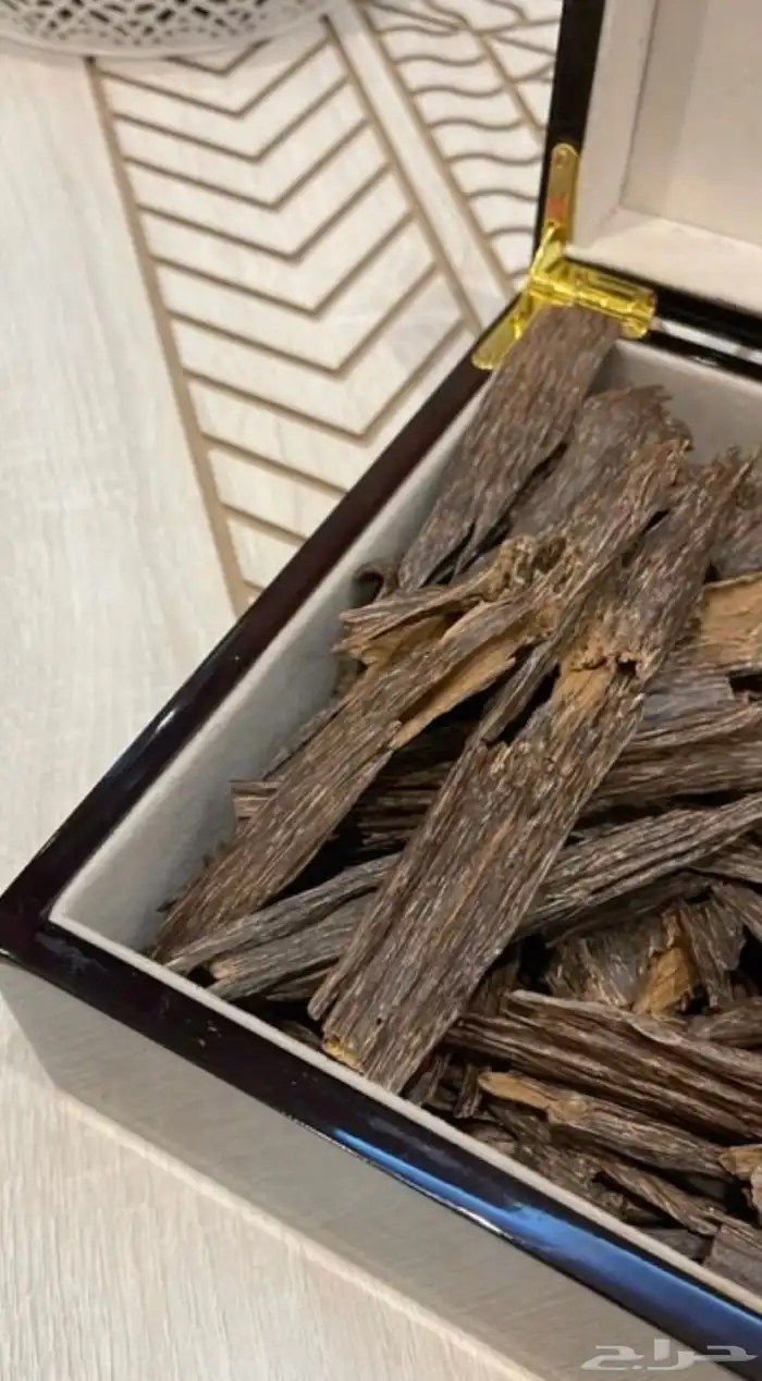 مسوقه زعفران 1