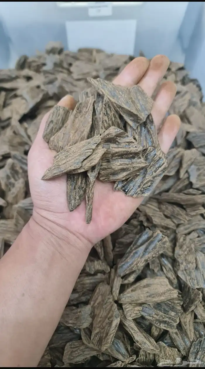 عود فاخر 0