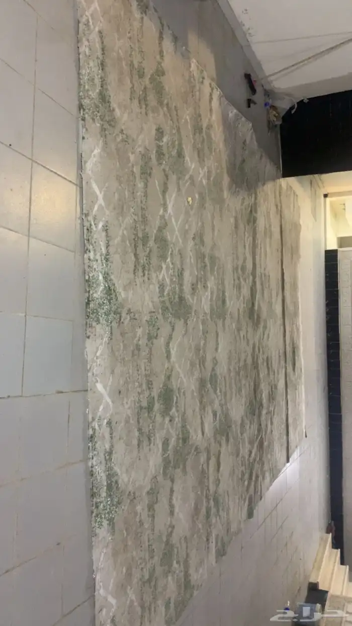 فراش موكيت مقاس4 6للبيع يحتاجله غسيل 0