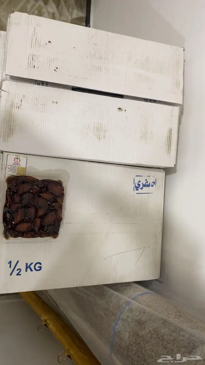 تمر صفري ملكي 0