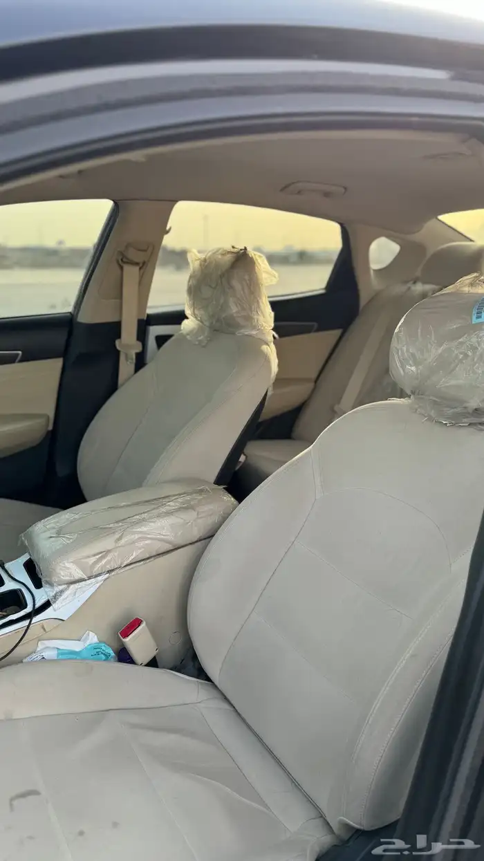 كادينزا 2021 (الجبر) 3.5 V6 8