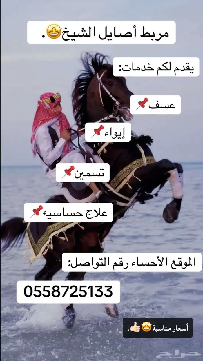 إيواء 0