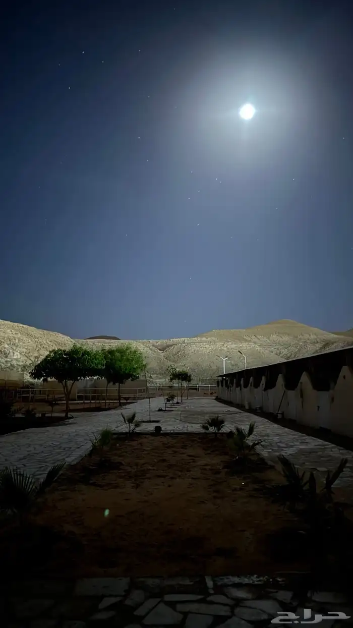 مربط ال عنان -رفاهية الخيل تبدأ من هنا خصم 20 8