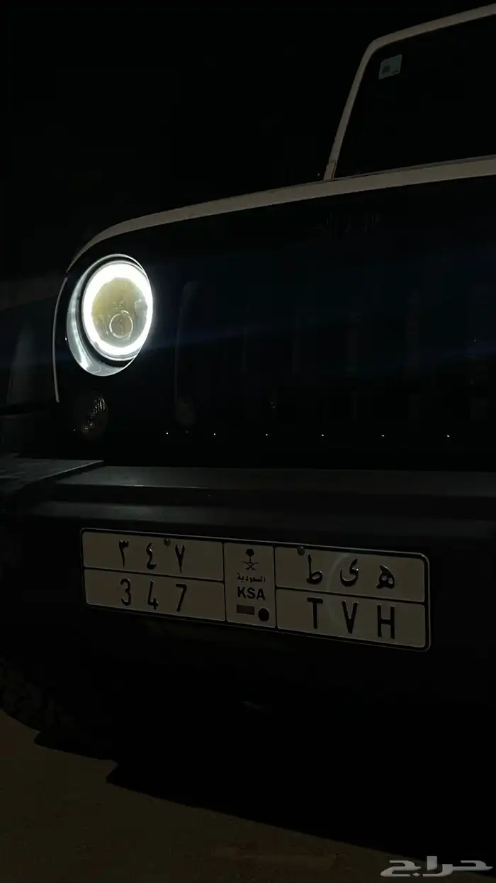 لوحة بمعنى مميز ونادر هيط 0