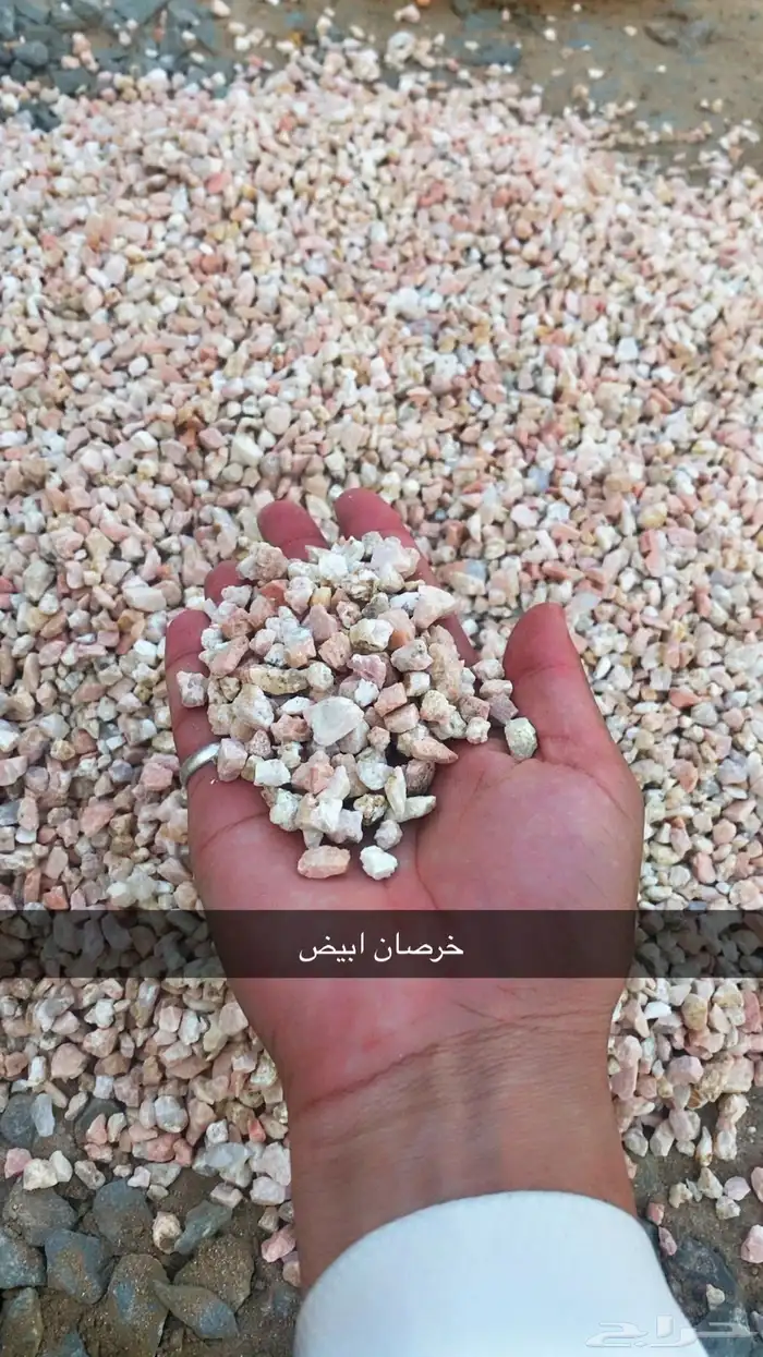 خرسان ابيض للزينه والحدائق والبناء وغير ذالك 1