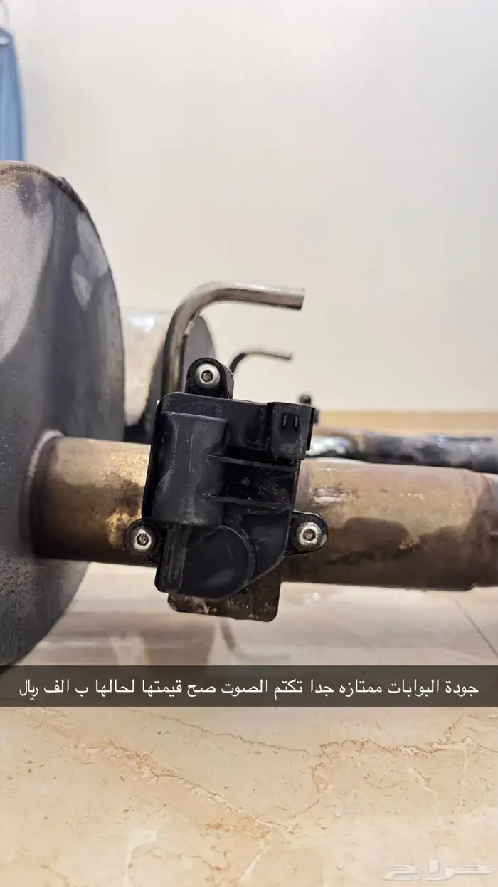 دبات كابرس لومينا كوبي كورسا 2