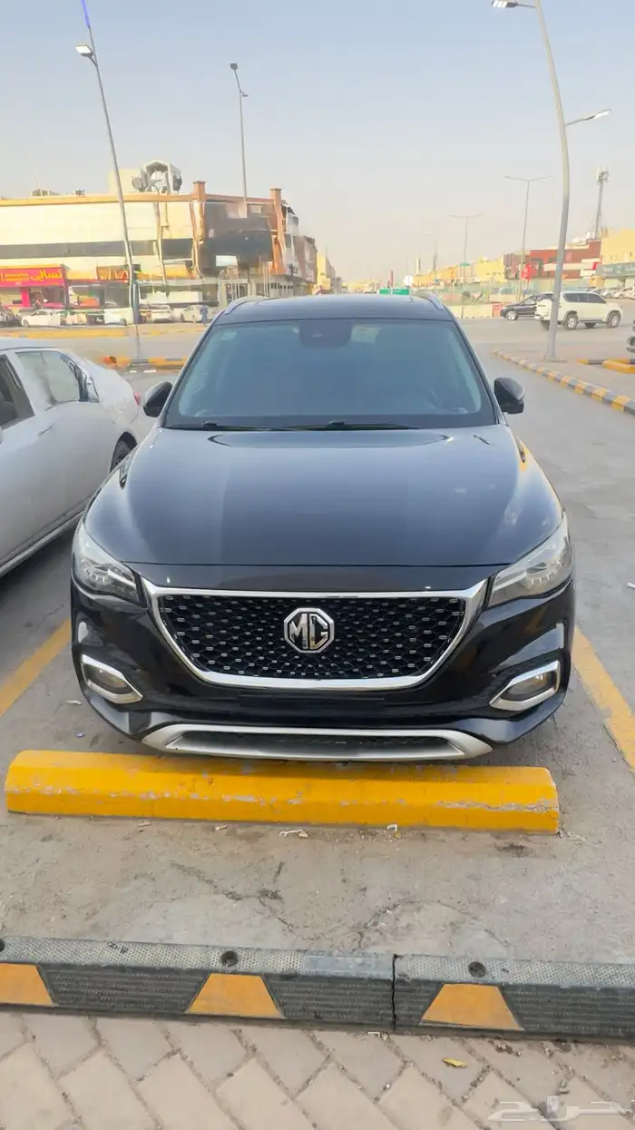 mg hs 2020 1