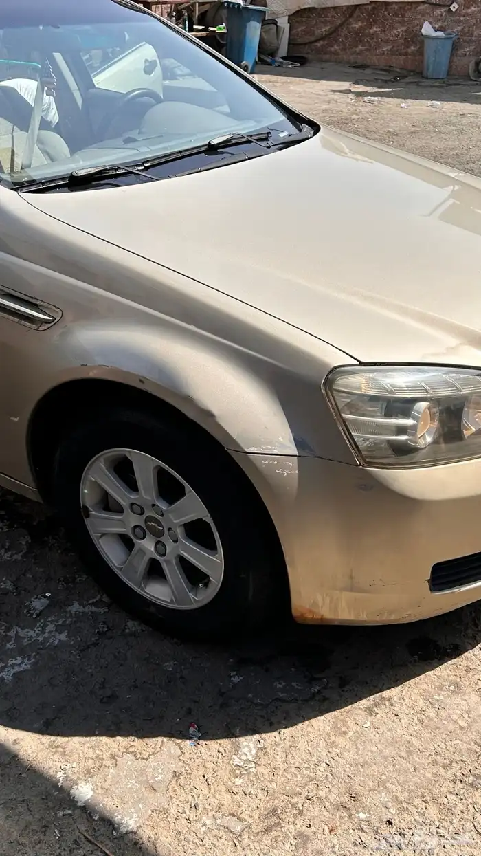كابرس للبيع 16