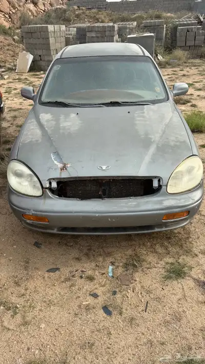 دايو او الخنفسه تشليح index