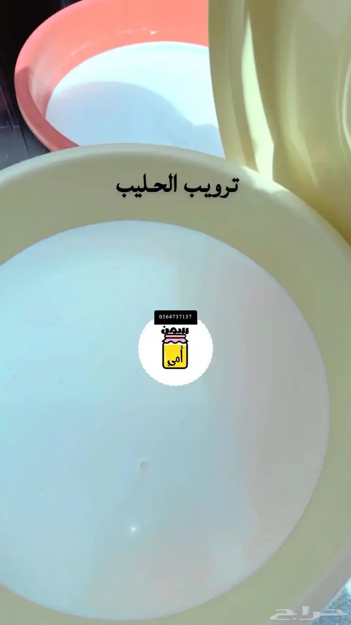 منتجات اغنام وابقار شغل نظيف ومضمون 7