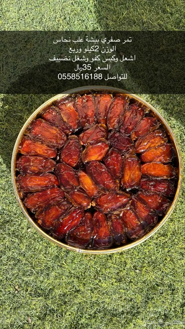 تمور صفري بيشة فاخره 0