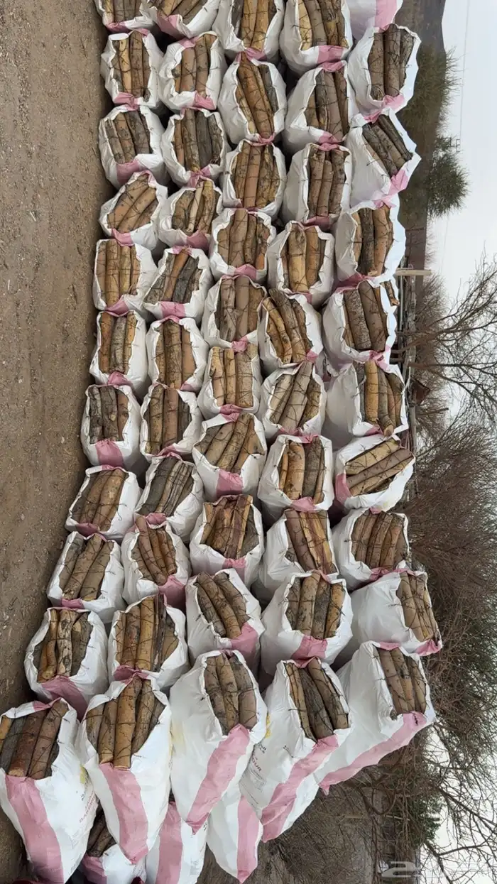 حطب مستورد 0
