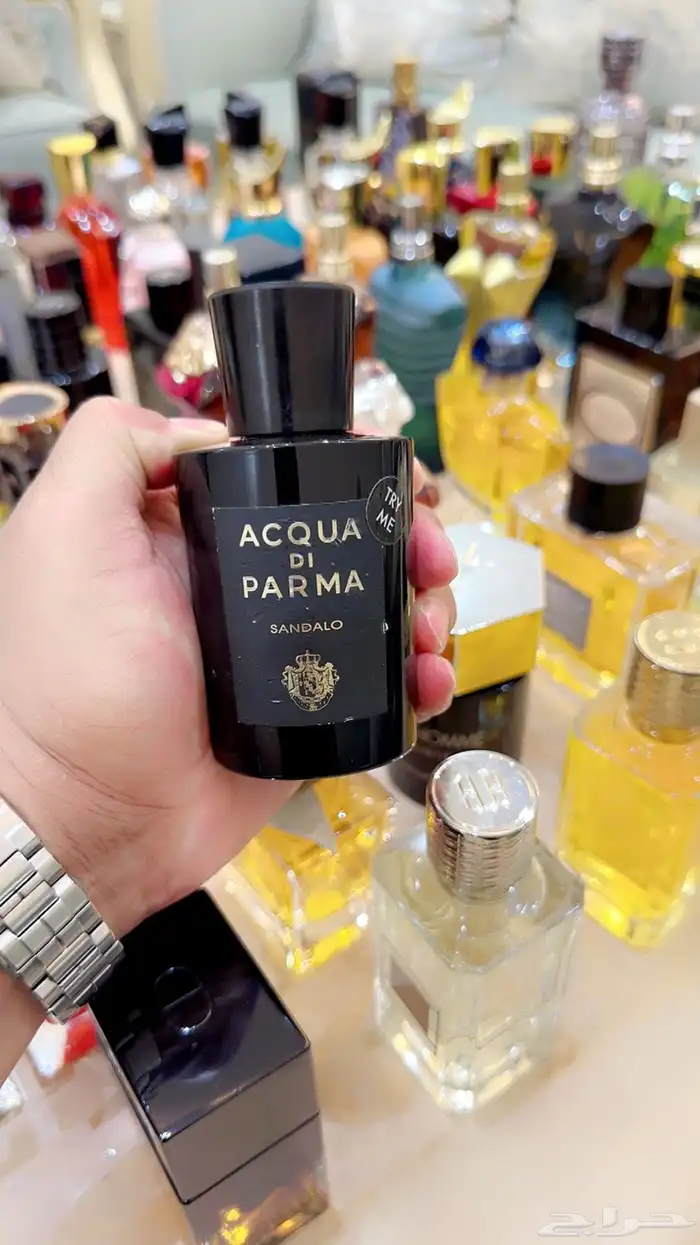 مملكة العطور عطورات تستر اصلية جرب وصدقني راح تكون زبون 3