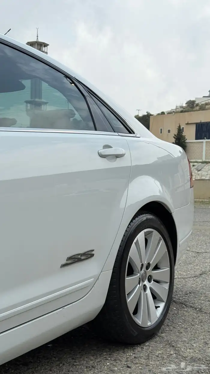 كابرس 2009ss بودي بلد 7