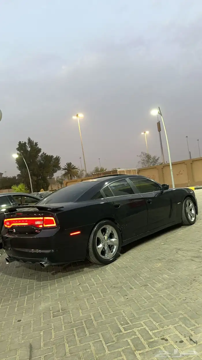 بودي كت ار تي 2014 3
