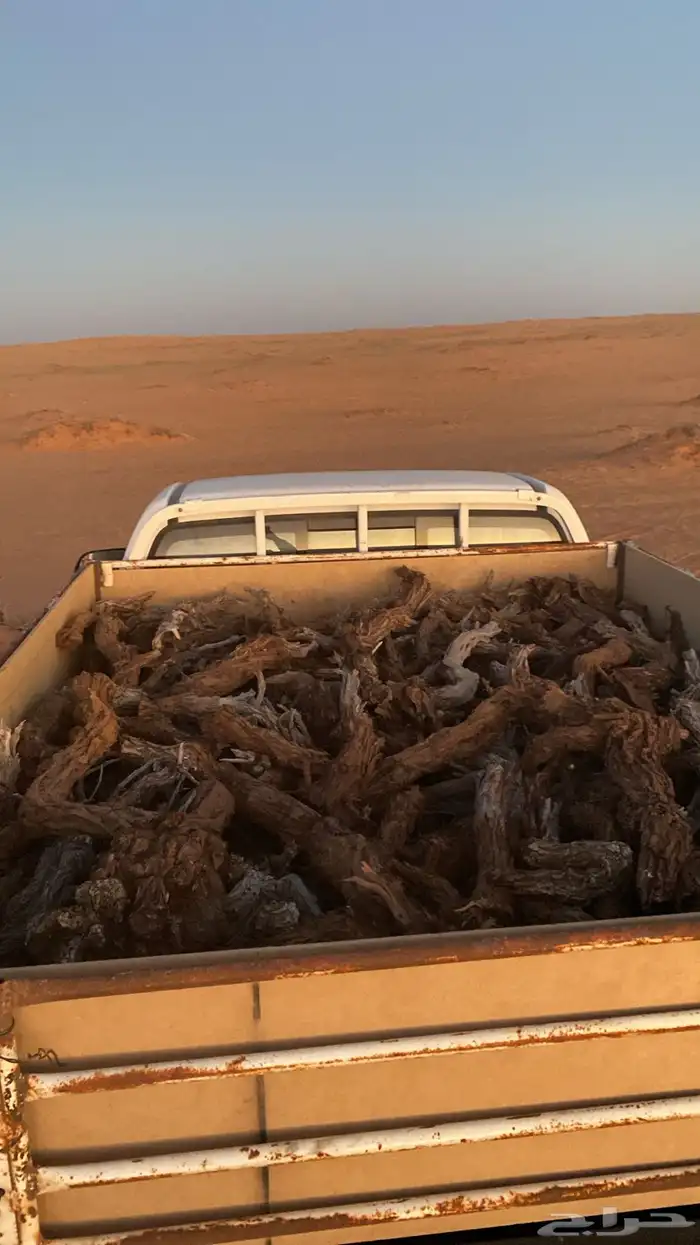 هايلكس ارط. ى ر م ث 1