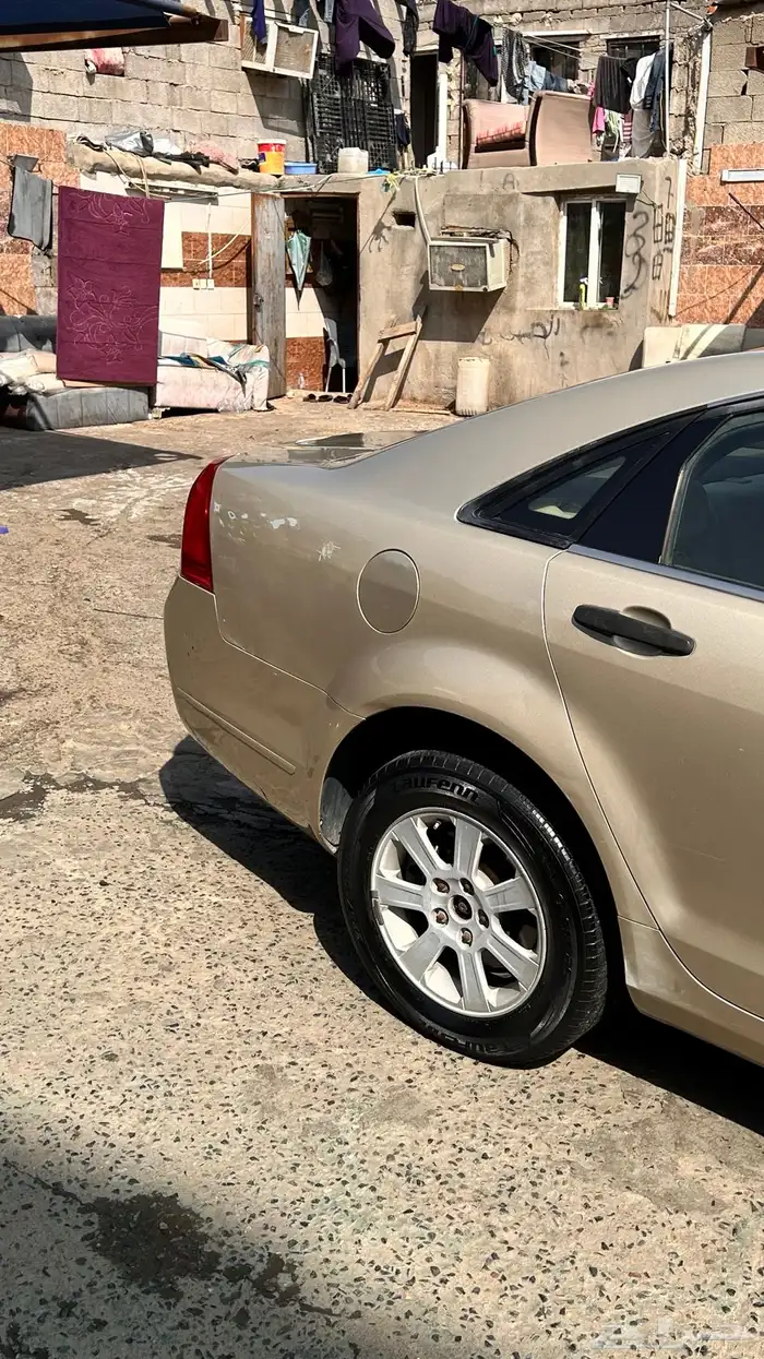 كابرس للبيع 3