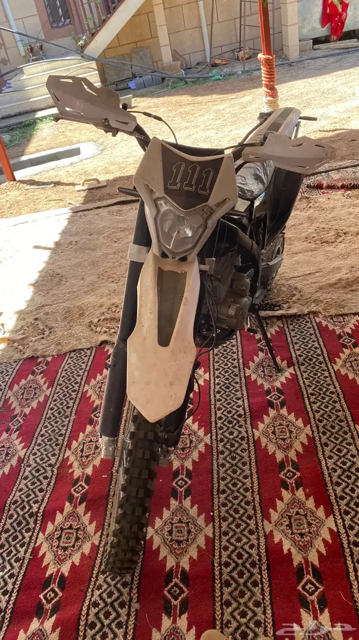 دباب صحراوي 2