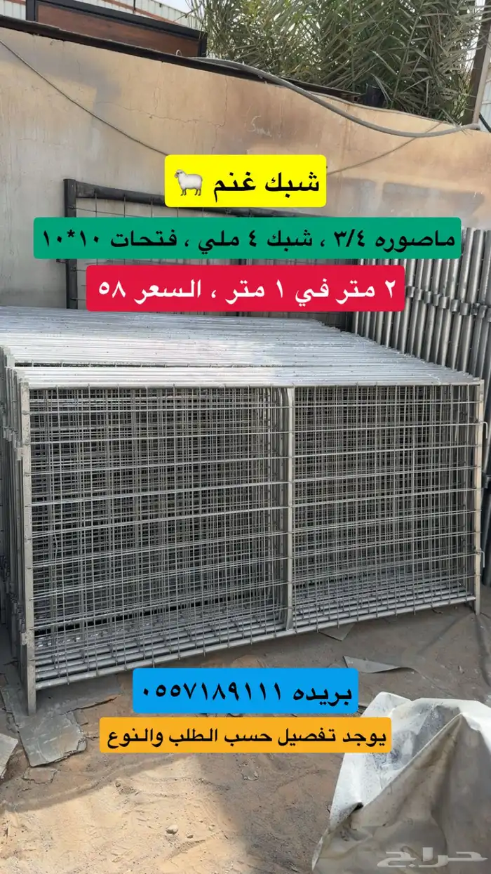 شبوك ابل واغنام 6