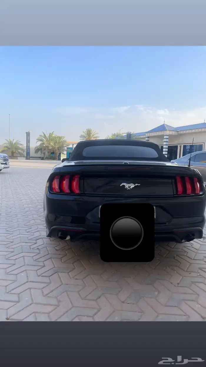 موستنج كوبيه كشف2022 فل كامل 1